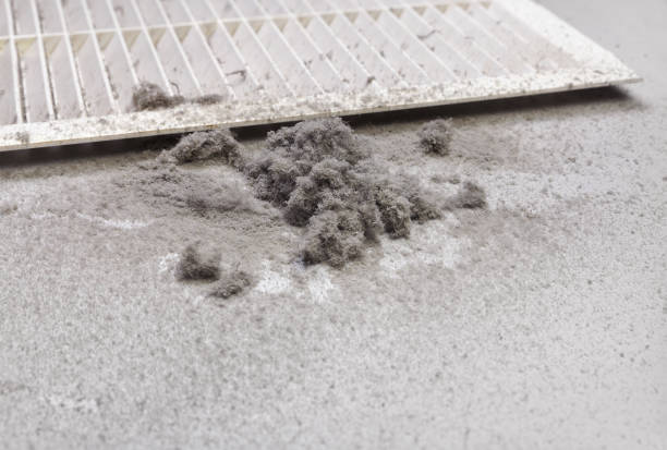 Best HVAC Duct Inspection Services  in Gardendale, TX
