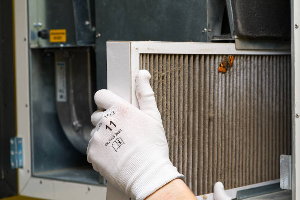 Best Professional Duct Cleaning Services  in Gardendale, TX